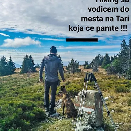 Apartment Zeleni Meda *