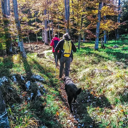 Zeleni Meda Apartment