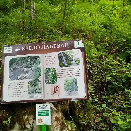 Zeleni Meda *