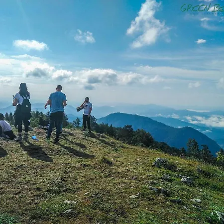 Zeleni Meda