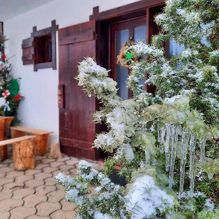 Apartment Zeleni Meda