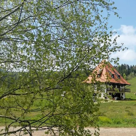 Zeleni Meda