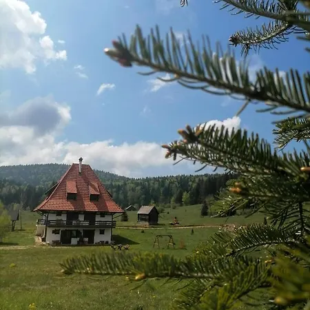Zeleni Meda Апартаменты Митровац