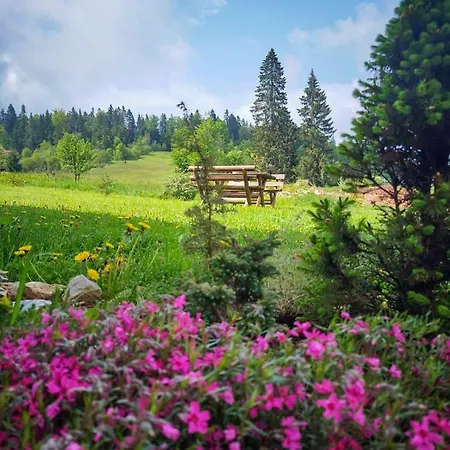 Zeleni Meda * Митровац