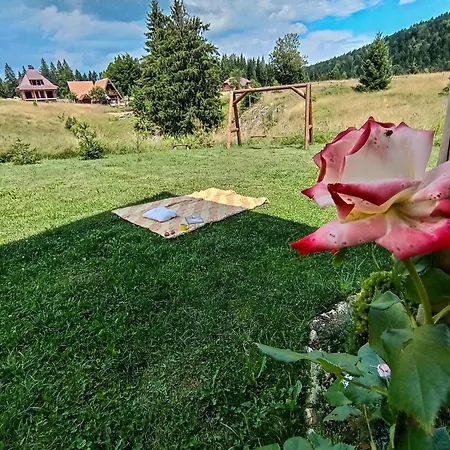 Zeleni Meda *