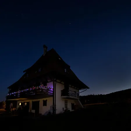 Zeleni Meda