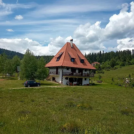 Zeleni Meda * Митровац